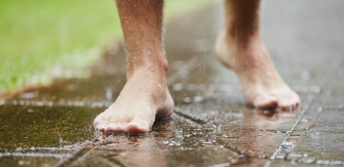 Basenfasten Standard & Plus