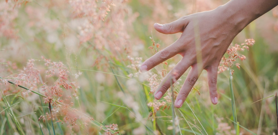 Basenfasten Standard & Plus