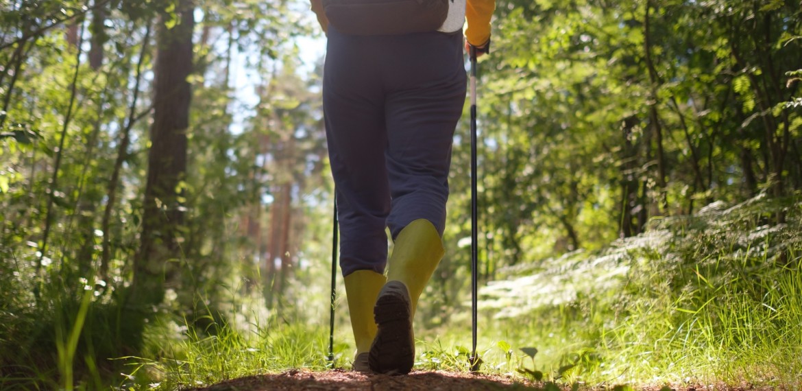 Well-aktiv B): Rücken-Fit / Gesunde Ernährung
